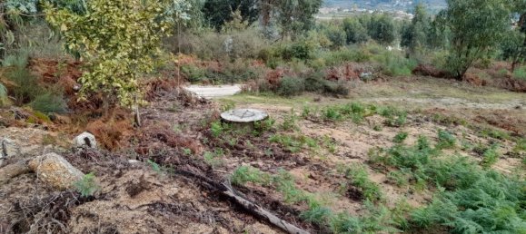 Grundstück in Amarante, Portugal, Nr. 57453 19