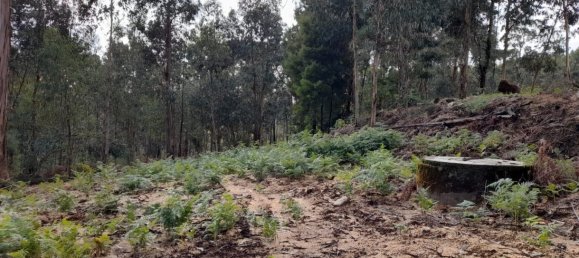 Grundstück in Amarante, Portugal, Nr. 57453 13