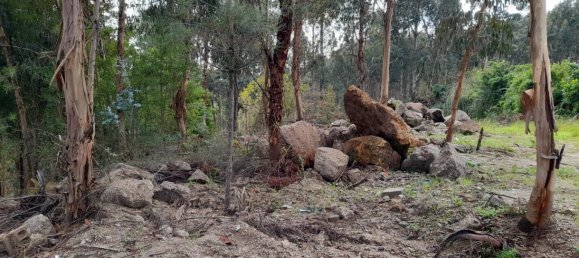 Grundstück in Amarante, Portugal, Nr. 57453 20