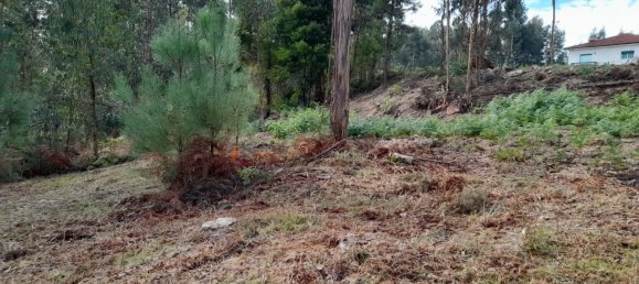 Grundstück in Amarante, Portugal, Nr. 57453 2