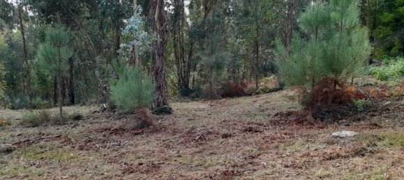 Grundstück in Amarante, Portugal, Nr. 57453 4