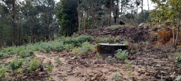 Grundstück in Amarante, Portugal, Nr. 57453 15