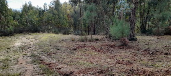 Grundstück in Amarante, Portugal, Nr. 57453 6