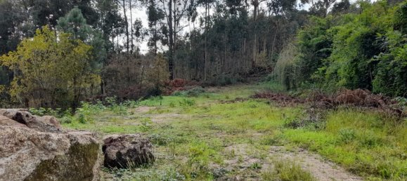 Grundstück in Amarante, Portugal, Nr. 57453 17