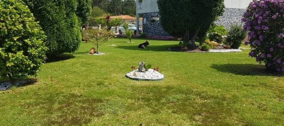 3 غرف نوم منزل في Varzea, Portugal رقم 132304 26