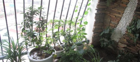 3 bedrooms Apartment in Thanh Xuan, Vietnam No. 3605 11