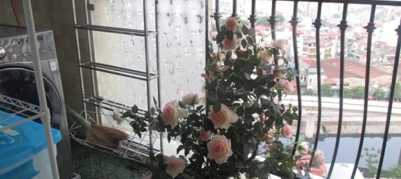 3 bedrooms Apartment in Thanh Xuan, Vietnam No. 3605 10