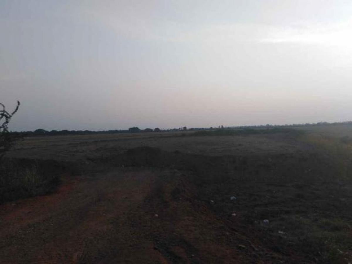 Земельный участок в Тирунелвели, Индия № 32834