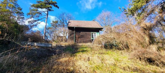  قطعة أرض في Liesing, Austria 1329متر مربع رقم 165001 8