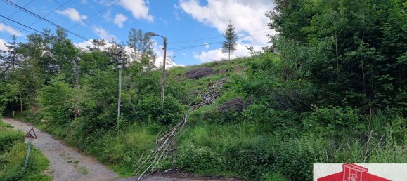 Terrain à Muhlbach-sur-Munster, France No. 94149 3
