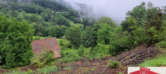 Terrain à Muhlbach-sur-Munster, France No. 94149 4