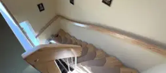 2 chambres Bungalow à Lippe, Germany No. 309224 12