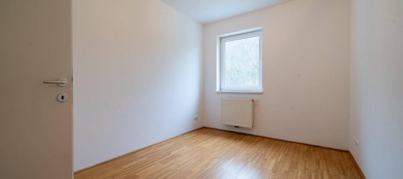 4 rooms Apartment in Loich, Austria No. 130655 6