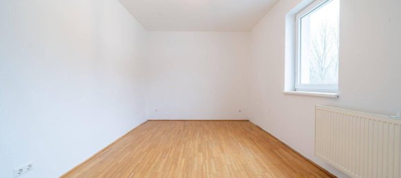 4 rooms Apartment in Loich, Austria No. 130655 9