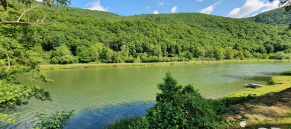 3 chambres Maison à Anchamps, France No. 344720 6