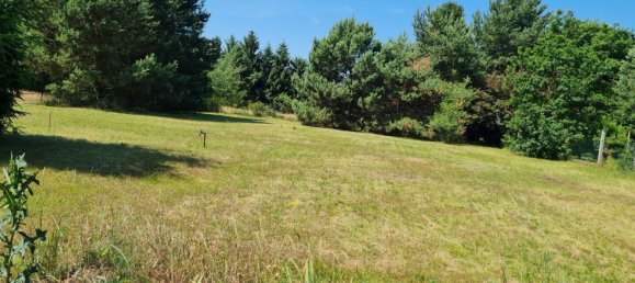 6 rooms House in Spree-Neise, Germany No. 238451 36