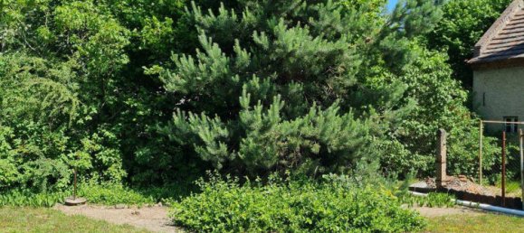 6 rooms House in Spree-Neise, Germany No. 238451 37