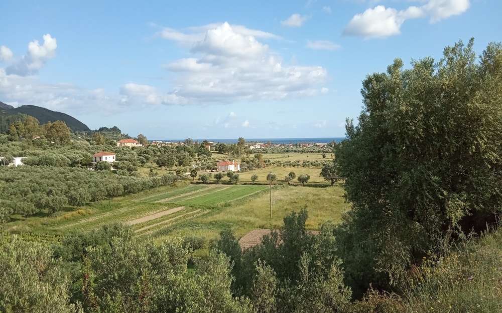  Land in Zakynthos, Greece No. 854