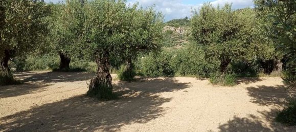  Land in Zakynthos, Greece No. 854 11