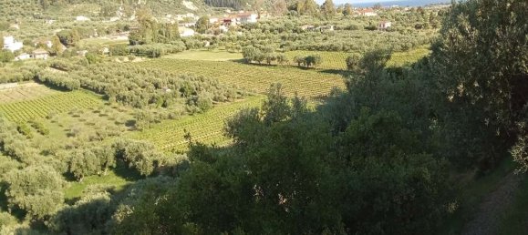  Hotel in Zakynthos, Greece No. 854 18