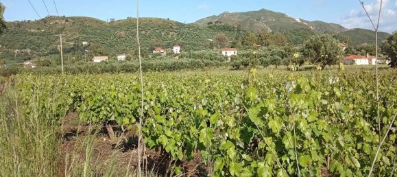  Land in Zakynthos, Greece No. 854 15