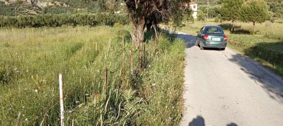  Land in Zakynthos, Greece No. 854 4