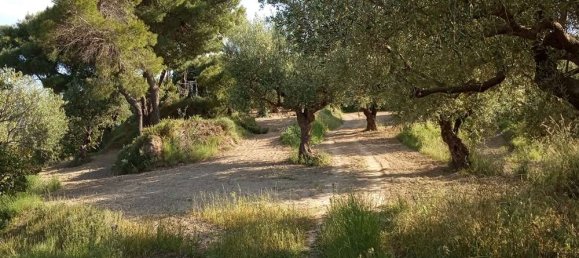  Land in Zakynthos, Greece No. 854 17