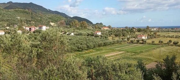  Hotel in Zakynthos, Greece No. 854 20