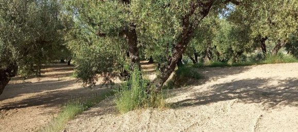  Land in Zakynthos, Greece No. 854 14