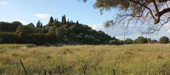  Land in Zakynthos, Greece No. 854 5