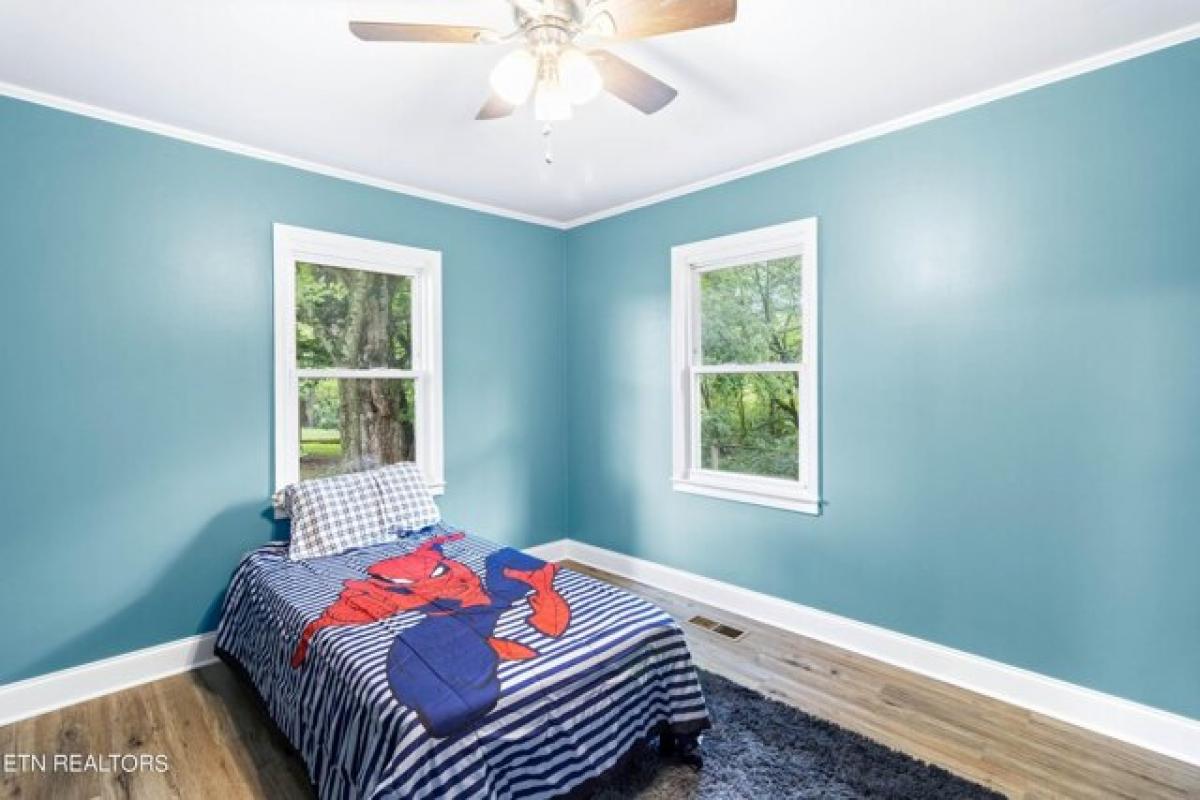 3 bedrooms House in Madisonville, USA No. 386680