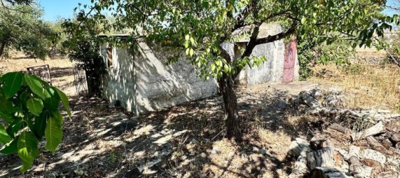 9 غرف نوم فيلا في Mottola, Italy رقم 333364 41