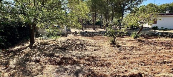 9 غرف نوم فيلا في Mottola, Italy رقم 333364 27