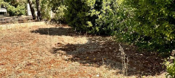 9 غرف نوم فيلا في Mottola, Italy رقم 333364 43