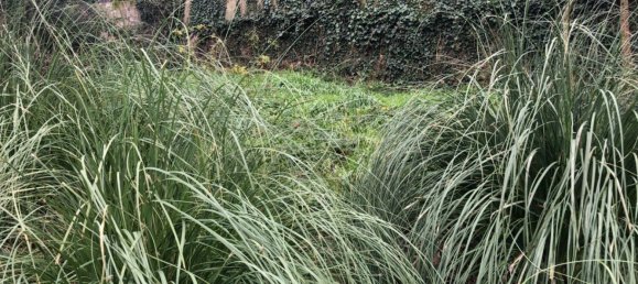  Land in Macanet De La Selva, Spain No. 75918 28