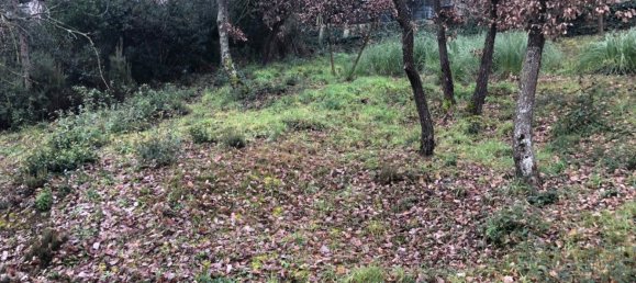  Land in Macanet De La Selva, Spain No. 75918 11