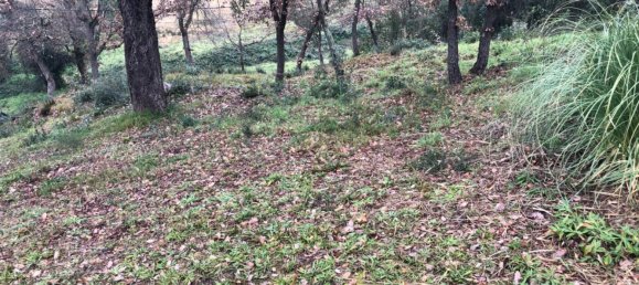  Land in Macanet De La Selva, Spain No. 75918 29