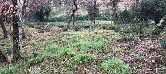  Land in Macanet De La Selva, Spain No. 75918 4