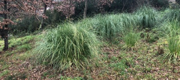  Land in Macanet De La Selva, Spain No. 75918 5