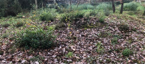  Land in Macanet De La Selva, Spain No. 75918 6