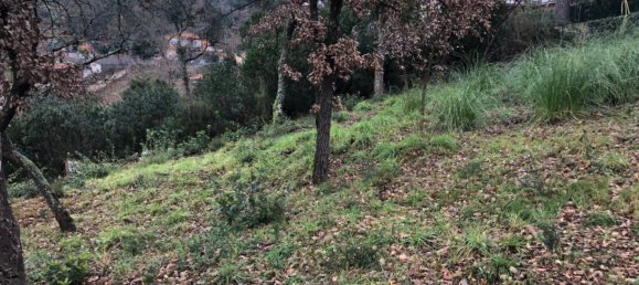  Land in Macanet De La Selva, Spain No. 75918 30
