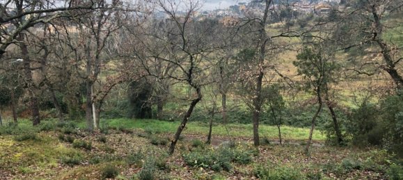  Land in Macanet De La Selva, Spain No. 75918 12