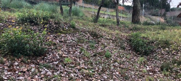  Land in Macanet De La Selva, Spain No. 75918 22