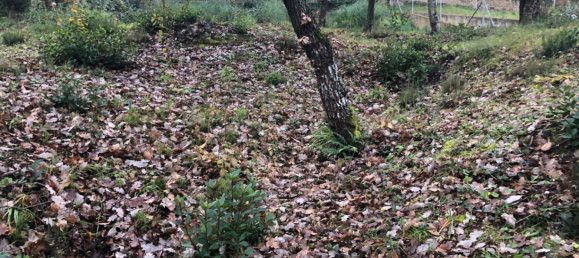  Land in Macanet De La Selva, Spain No. 75918 2