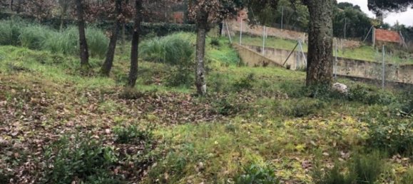  Land in Macanet De La Selva, Spain No. 75918 20