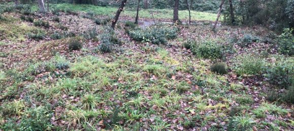  Land in Macanet De La Selva, Spain No. 75918 27