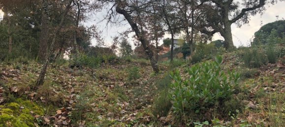  Land in Macanet De La Selva, Spain No. 75918 16