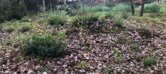  Land in Macanet De La Selva, Spain No. 75918 24