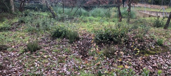  Land in Macanet De La Selva, Spain No. 75918 8