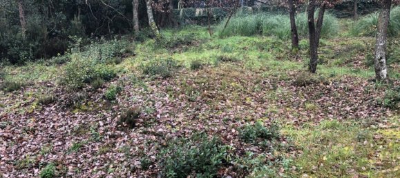  Land in Macanet De La Selva, Spain No. 75918 19